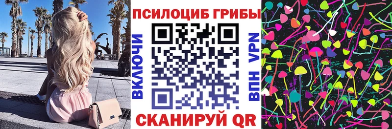 где купить наркоту  Ивантеевка  Галлюциногенные грибы MAGIC MUSHROOMS 