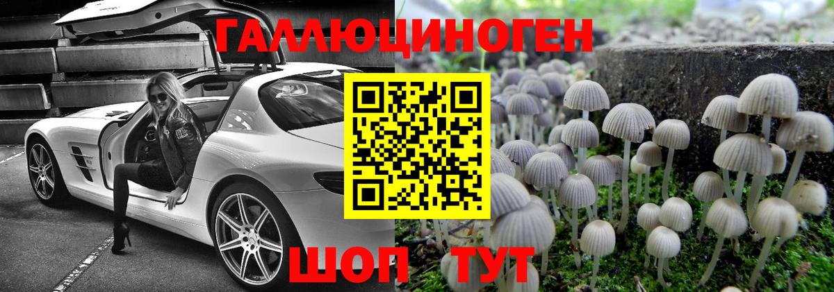 Псилоцибиновые грибы Psilocybe Ивантеевка